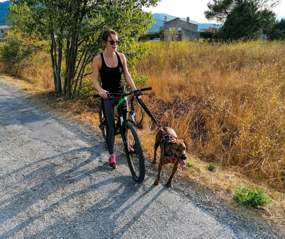 Cani VTT - Trottinette - Paddle (2)