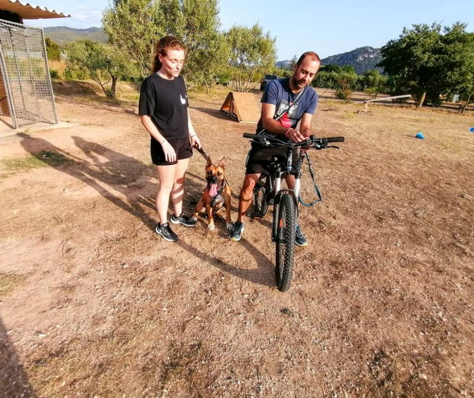 Cani VTT - Trottinette - Paddle (3)