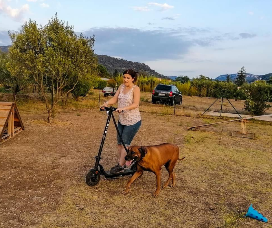 Cani VTT - Trottinette - Paddle (5)