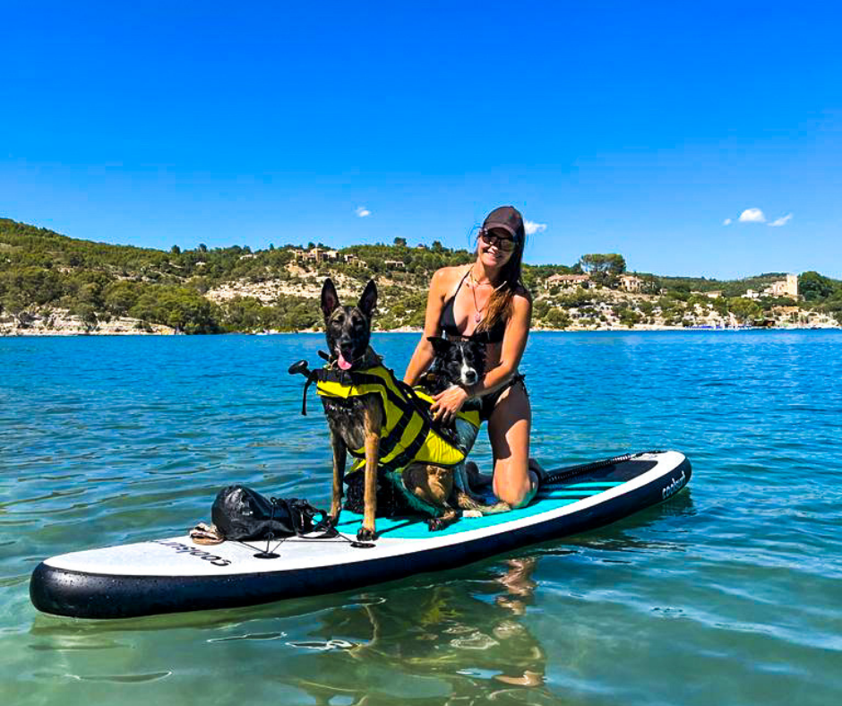 Cani VTT - Trottinette - Paddle (7)
