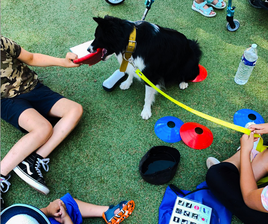 Cours avec personnes handicap (2)