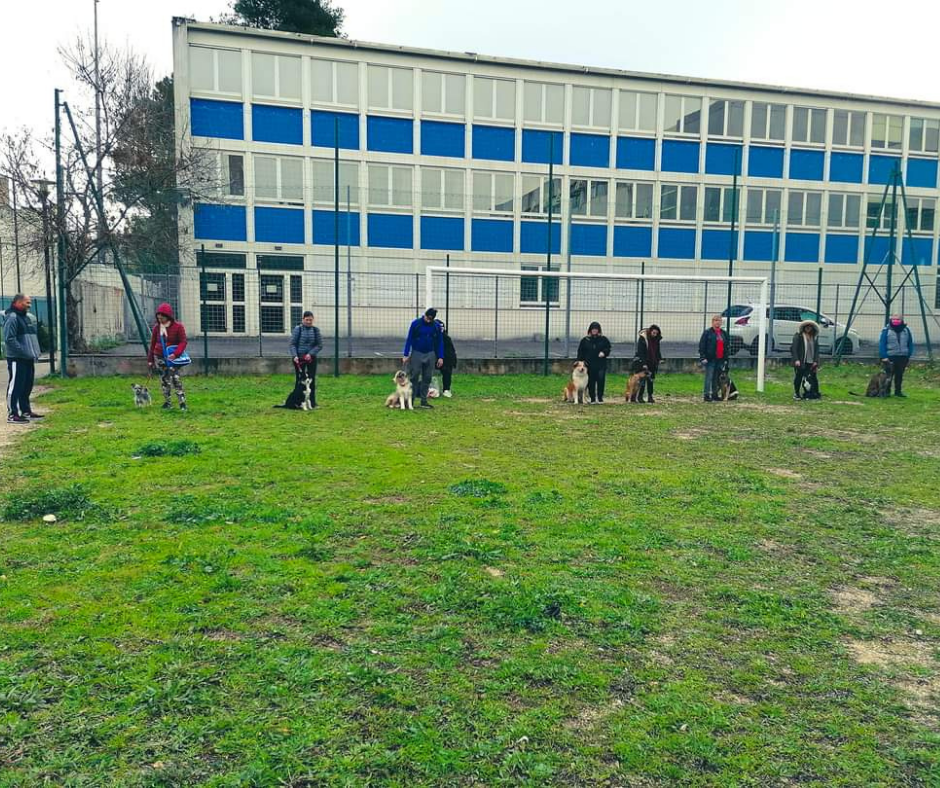Cours collectifs (10)