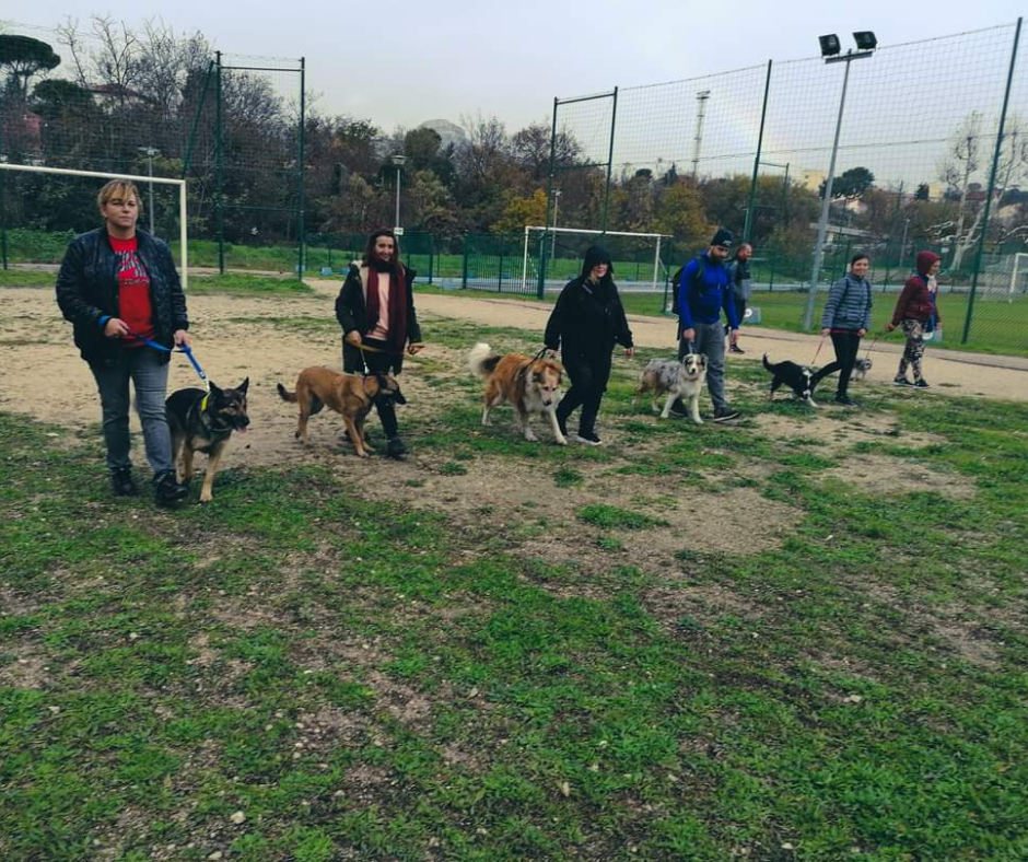 Cours collectifs (11)