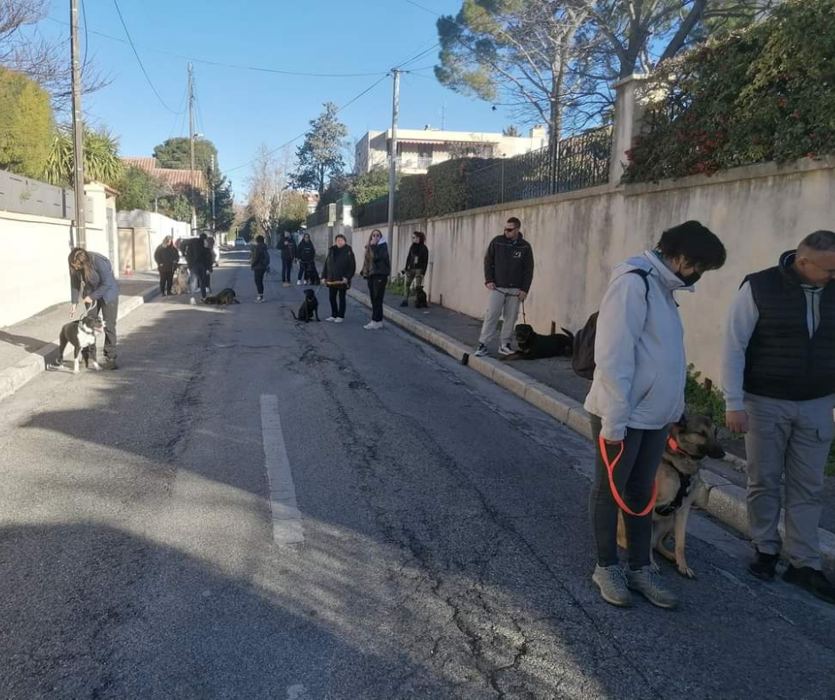 Cours collectifs (12)
