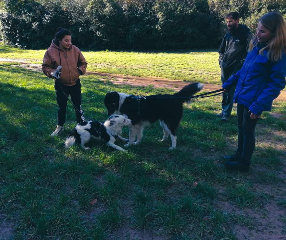 Cours collectifs (2)