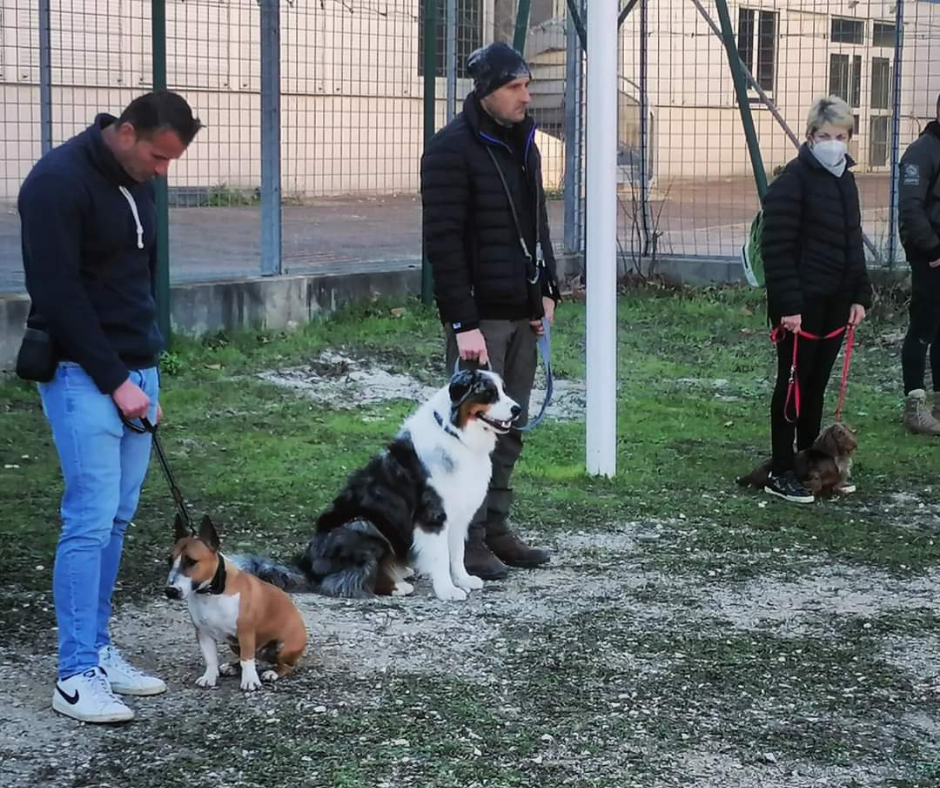 Cours collectifs (3)
