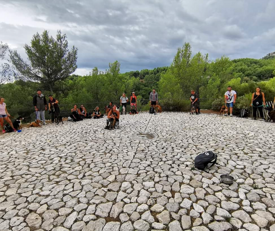 Cours collectifs (4)
