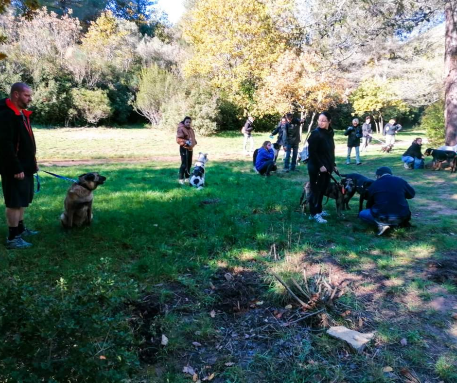 Cours collectifs