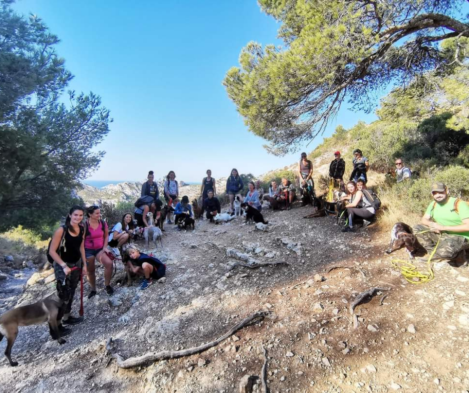 Randonnées collectives (8)