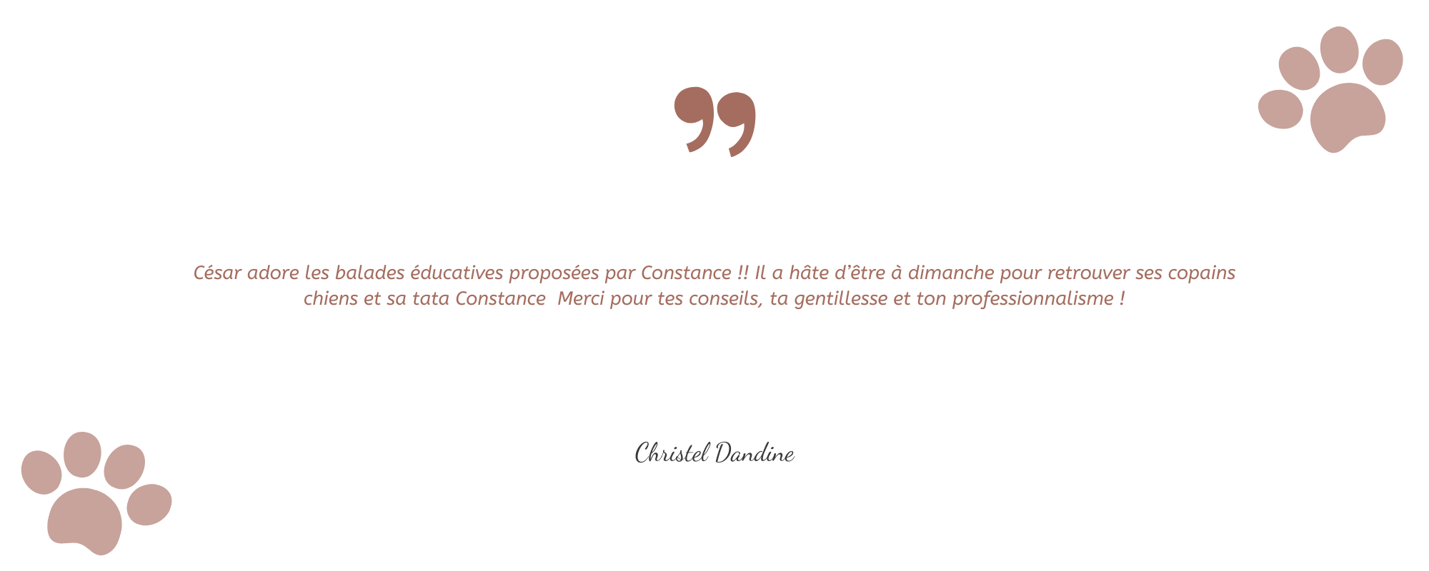 Recommandations - Constance Conscience Canine (9)