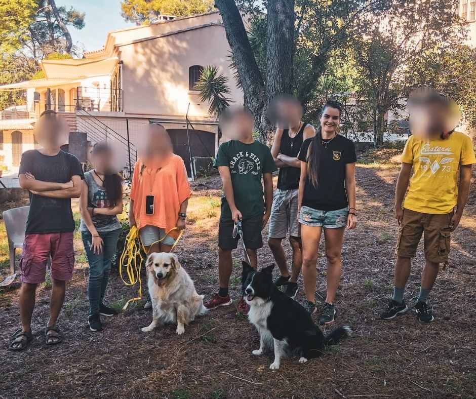 Education canine adaptée